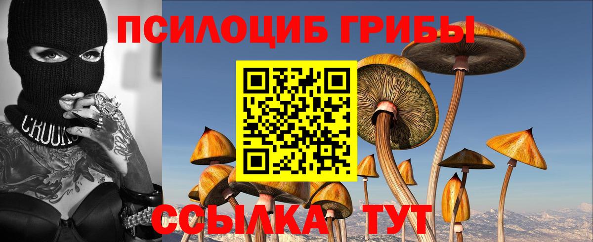 Рассказово  Псилоцибиновые грибы MAGIC MUSHROOMS  Вход с VPN 
