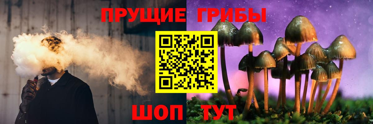 Псилоцибиновые грибы мицелий Рассказово